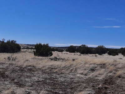 This almost 42 acre partially fenced off grid remote propert - image 8