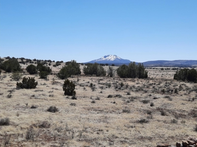 This 42 acre off grid rural property has gorgeous mnt views - image 13