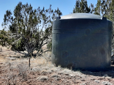 This 42 acre off grid rural property has gorgeous mnt views - image 8