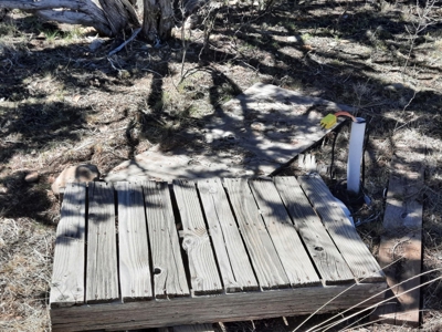 This 42 acre off grid rural property has gorgeous mnt views - image 9