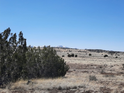 This 42 acre off grid rural property has gorgeous mnt views - image 11