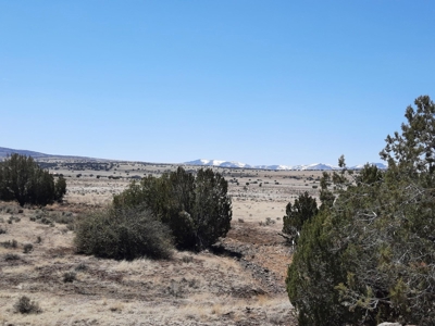 This 42 acre off grid rural property has gorgeous mnt views - image 14