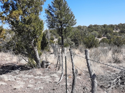 This 43 Acre ultimate off Grid, remote hunting land - image 3