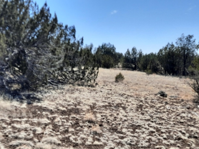 This 43 Acre ultimate off Grid, remote hunting land - image 8