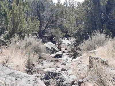 This 43 Acre ultimate off Grid, remote hunting land - image 1