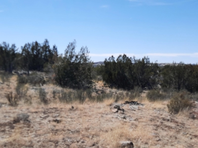 This 43 Acre ultimate off Grid, remote hunting land - image 5