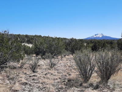 This 43 Acre ultimate off Grid, remote hunting land - image 2
