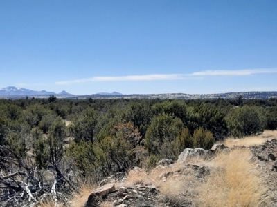 This 36 acre off grid remote property is gorgeous - image 4