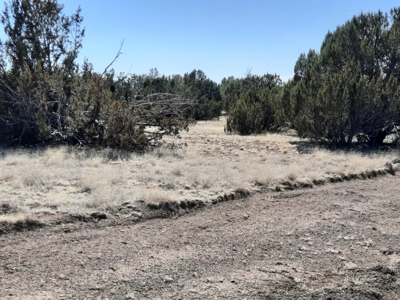 This 36 acre off grid remote property is gorgeous - image 8