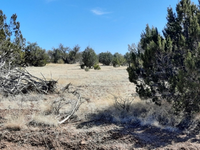 This 36 acre off grid remote property is gorgeous - image 6