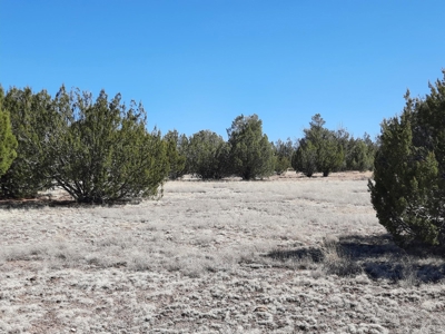 This 36 acre off grid remote property is gorgeous - image 2