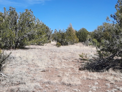 This 36 acre off grid remote property is gorgeous - image 9