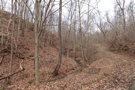 Real Estate Auction 49 acres in Morgan County - image 6