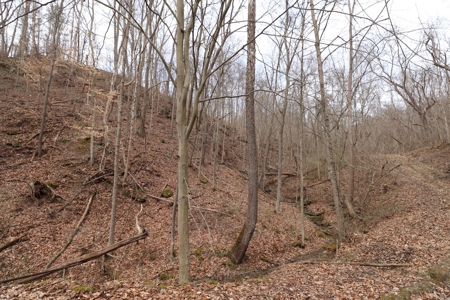 Real Estate Auction 49 acres in Morgan County - image 7
