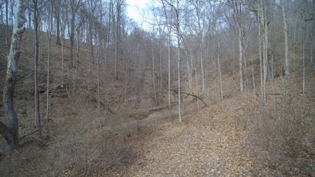 Real Estate Auction 49 acres in Morgan County - image 17