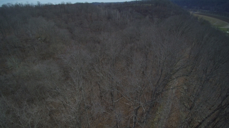 Real Estate Auction 49 acres in Morgan County - image 21