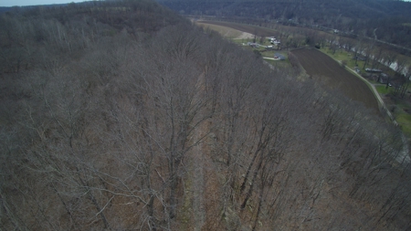 Real Estate Auction 49 acres in Morgan County - image 22