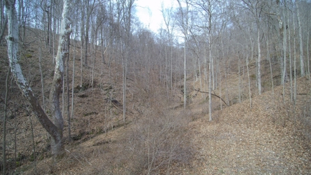 Real Estate Auction 49 acres in Morgan County - image 16