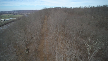 Real Estate Auction 49 acres in Morgan County - image 19