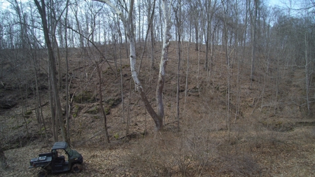 Real Estate Auction 49 acres in Morgan County - image 18