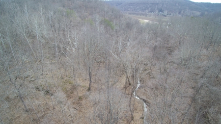 Real Estate Auction 49 acres in Morgan County - image 14