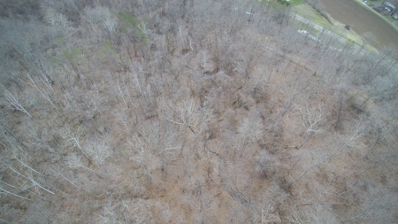 Real Estate Auction 49 acres in Morgan County - image 13