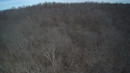 Real Estate Auction 49 acres in Morgan County - image 20