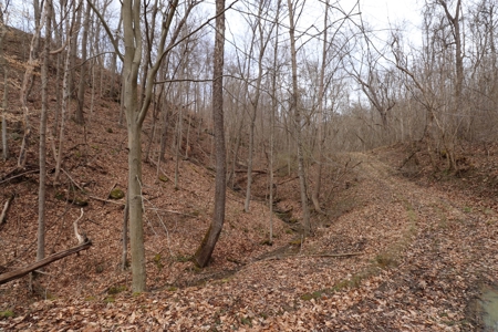 Real Estate Auction 49 acres in Morgan County - image 5