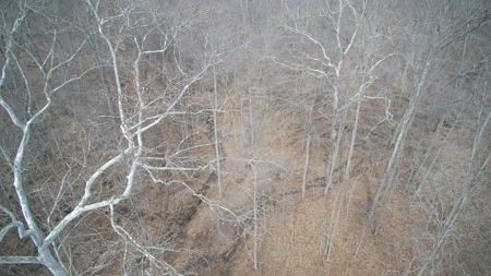 Real Estate Auction 49 acres in Morgan County - image 15