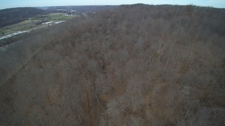 Real Estate Auction 49 acres in Morgan County - image 10