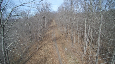 Real Estate Auction 49 acres in Morgan County - image 1