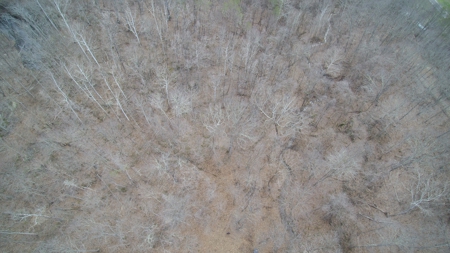 Real Estate Auction 49 acres in Morgan County - image 12