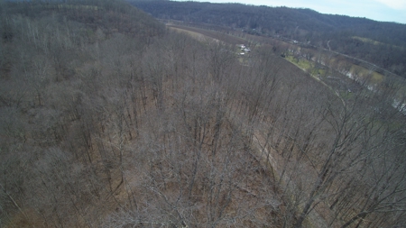 Real Estate Auction 49 acres in Morgan County - image 24