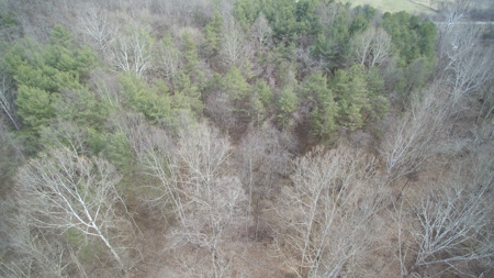 Morgan County Smaller Acreage Hunting Property - image 13