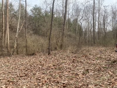 Morgan County Smaller Acreage Hunting Property - image 1