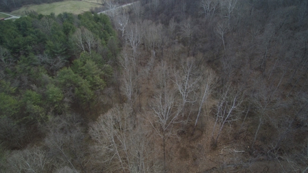 Morgan County Smaller Acreage Hunting Property - image 7