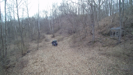 Morgan County Smaller Acreage Hunting Property - image 4