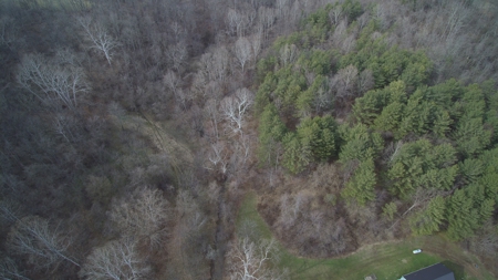 Morgan County Smaller Acreage Hunting Property - image 16