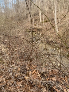 Morgan County Smaller Acreage Hunting Property - image 2