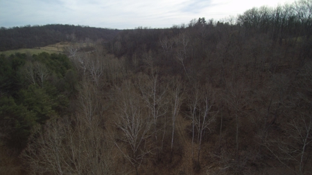 Morgan County Smaller Acreage Hunting Property - image 6