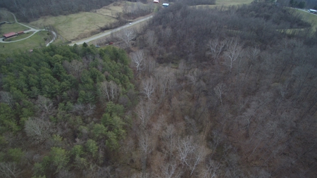 Morgan County Smaller Acreage Hunting Property - image 9