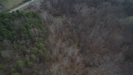 Morgan County Smaller Acreage Hunting Property - image 10