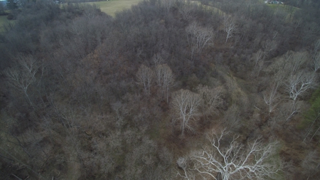 Morgan County Smaller Acreage Hunting Property - image 15