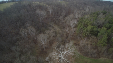Morgan County Smaller Acreage Hunting Property - image 14