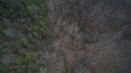 Morgan County Smaller Acreage Hunting Property - image 11