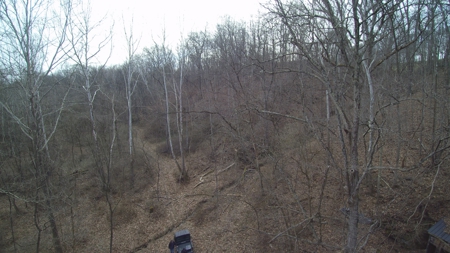 Morgan County Smaller Acreage Hunting Property - image 5