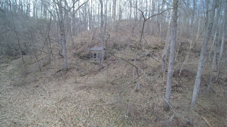 Morgan County Smaller Acreage Hunting Property - image 3