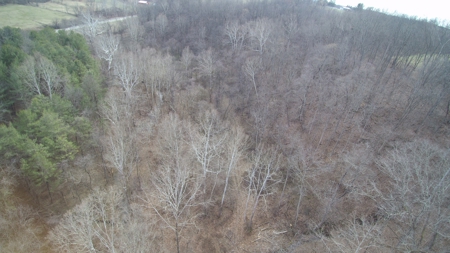 Morgan County Smaller Acreage Hunting Property - image 12