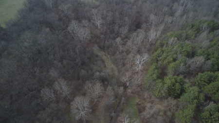 Morgan County Smaller Acreage Hunting Property - image 17