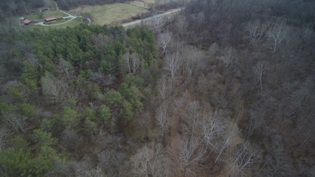 Morgan County Smaller Acreage Hunting Property - image 8